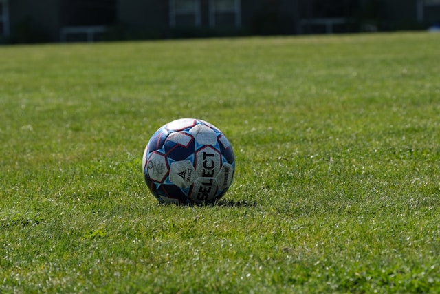 Sports Fields